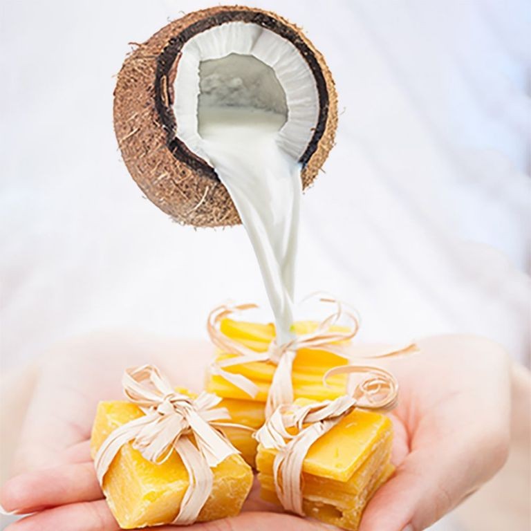 Beeswax and Coconut Oil Herbal Balm