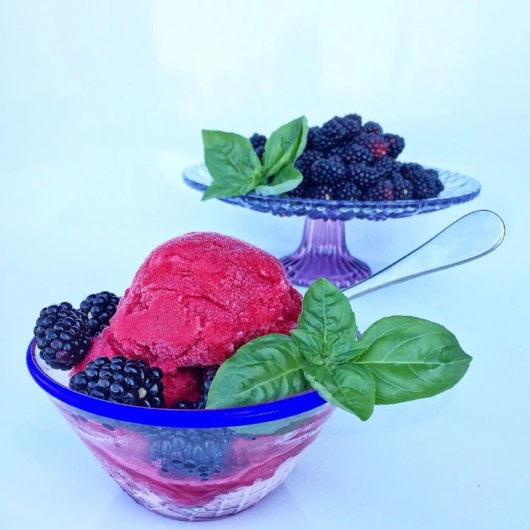 Blackberry Crown Sorbet with Basil Infusion