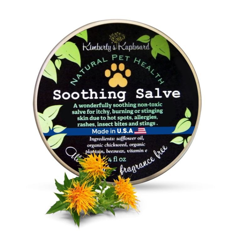 Chickweed and Plantain Itch-Relief Salve