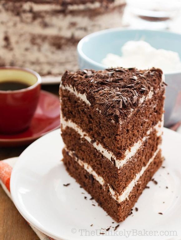 Chocolate Sponge Cake with Whipped Cream