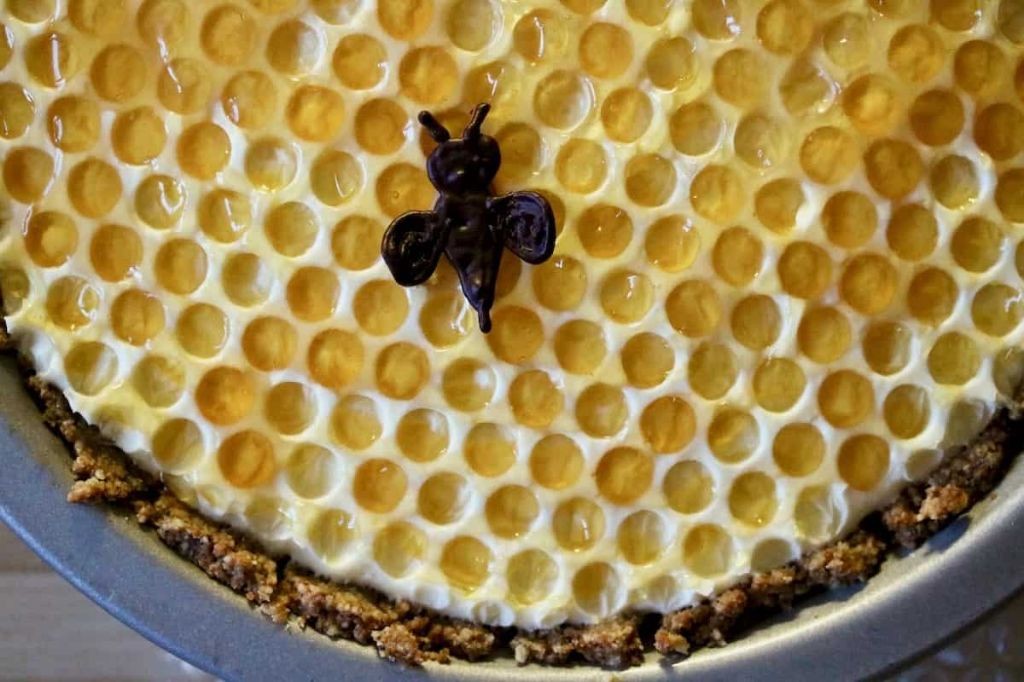 Elderberry Pie with Honey Drizzle