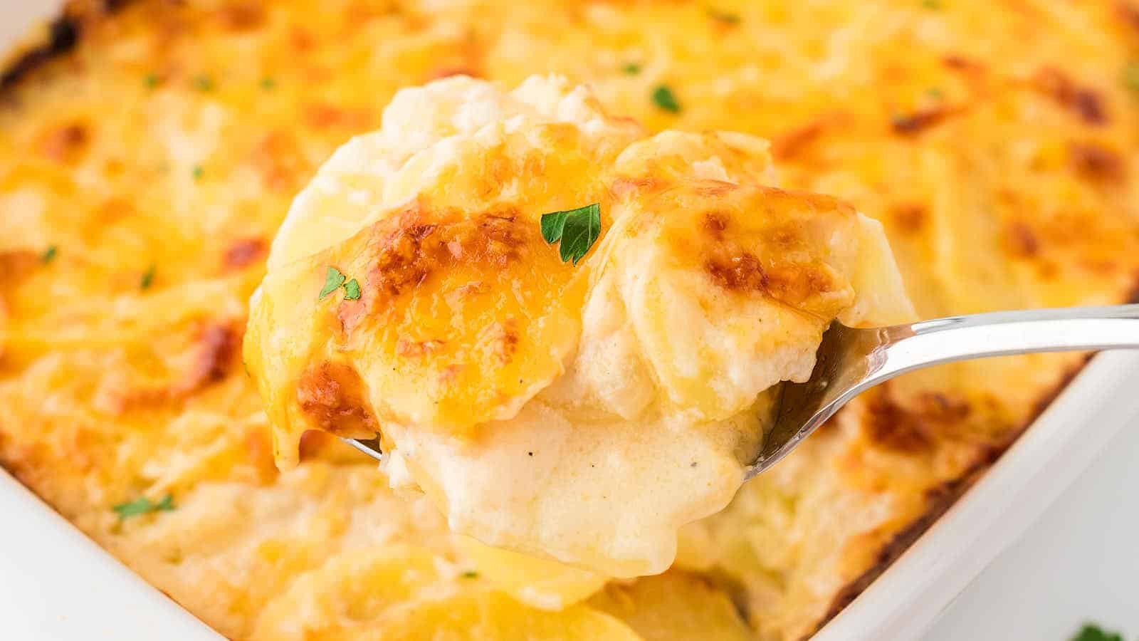 The Best Cheesy Scalloped Potatoes