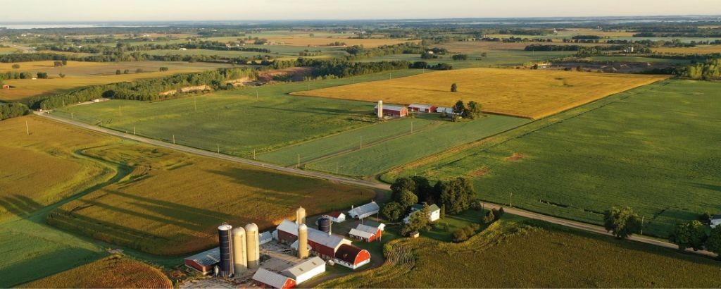 Char & Coal Mediterranean