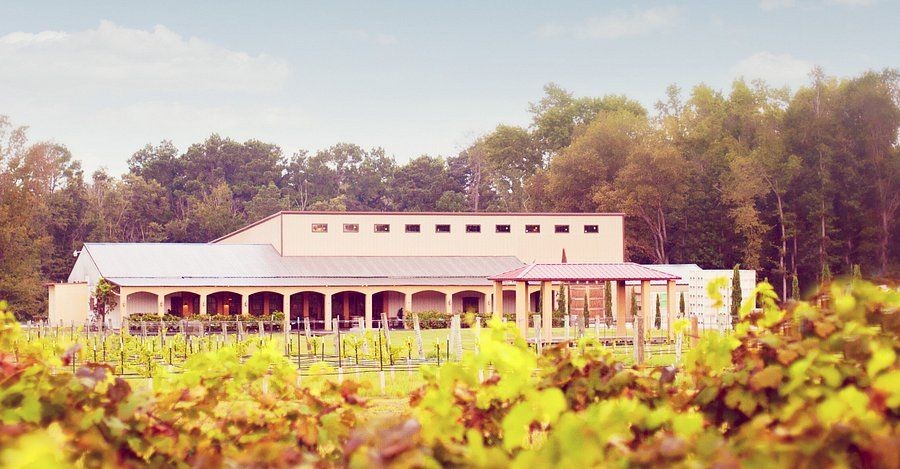 Los Pinos Ranch Vineyards