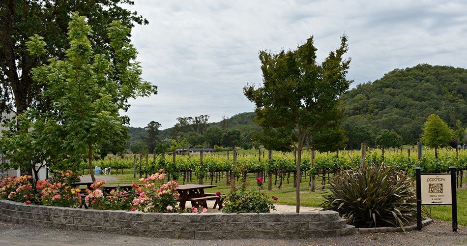 Loxton Cellars