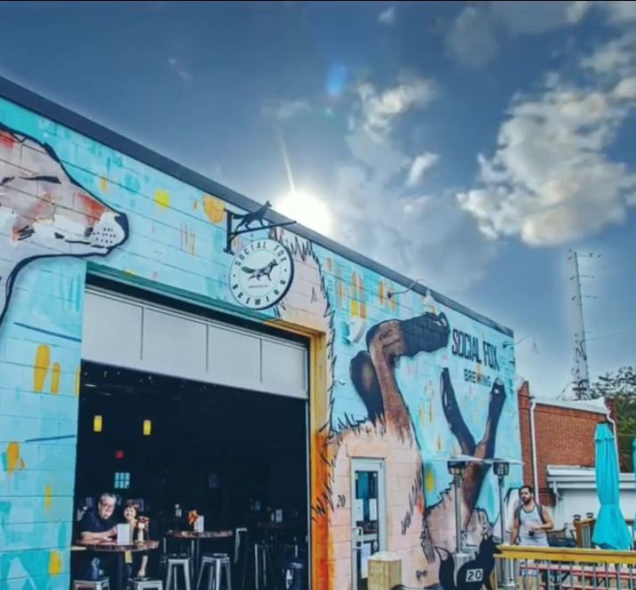 Social Fox Brewing